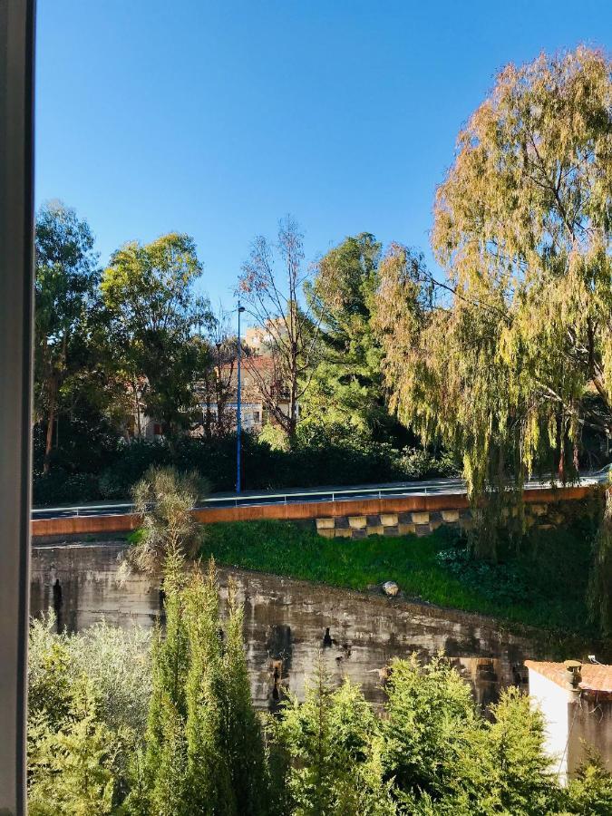 Appartement Paloma Proche Cannes Le Cannet Exterior foto